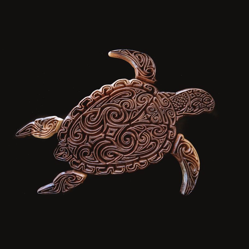 Turtle