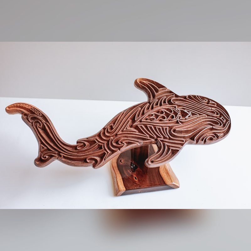 Mounted Whale Shark