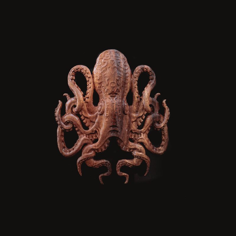 Octopus 3d