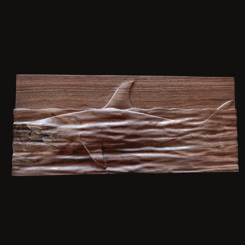 Shark Full Fin