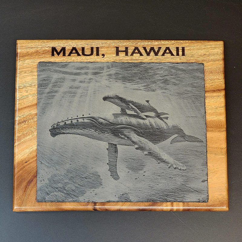 Whale Laser